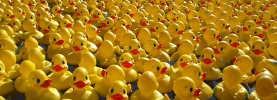 The Great Norwich Duck Race 2019